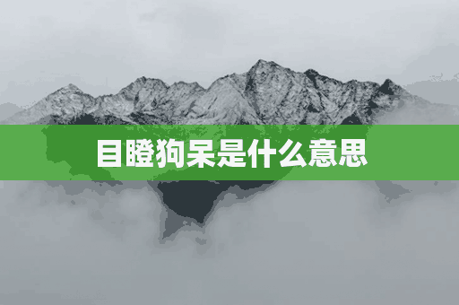 目瞪狗呆是什么意思(目瞪狗呆是什么意思思)